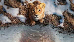 Disney mengungkap trailer teaser pertama untuk Mufasa: The Lion King